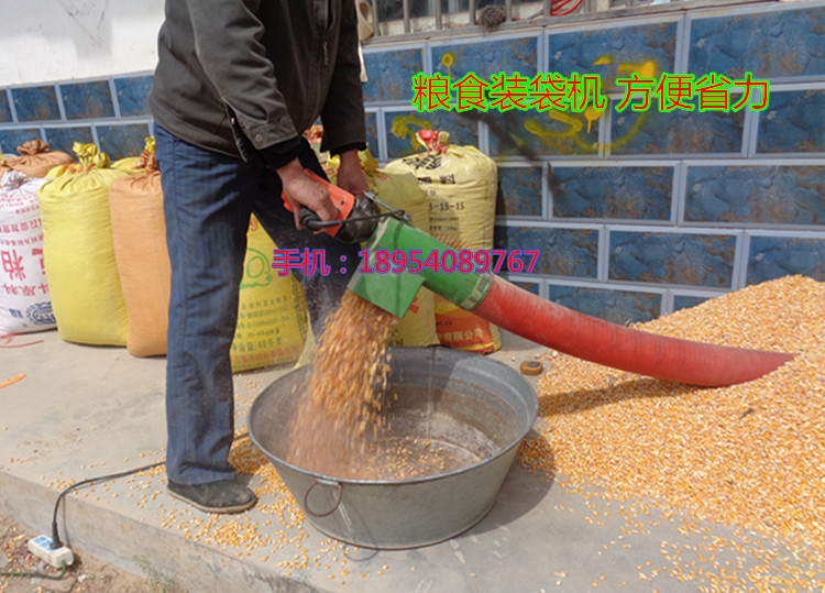 DSC01963_副本 - 副本