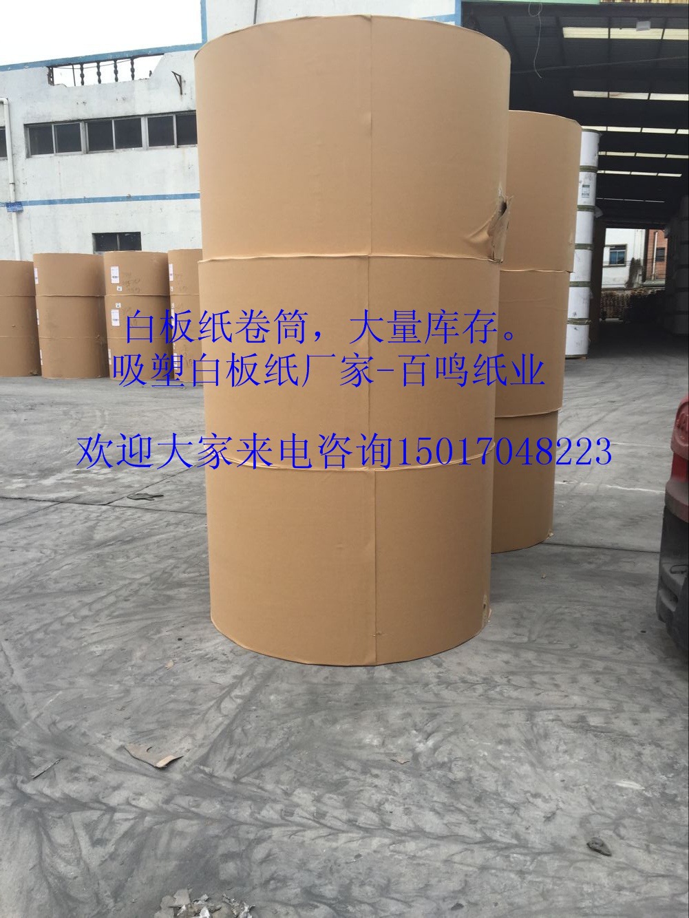 吸塑专用灰底白板纸 卷筒711灰卡纸 灰底白板纸 450g灰底白板纸