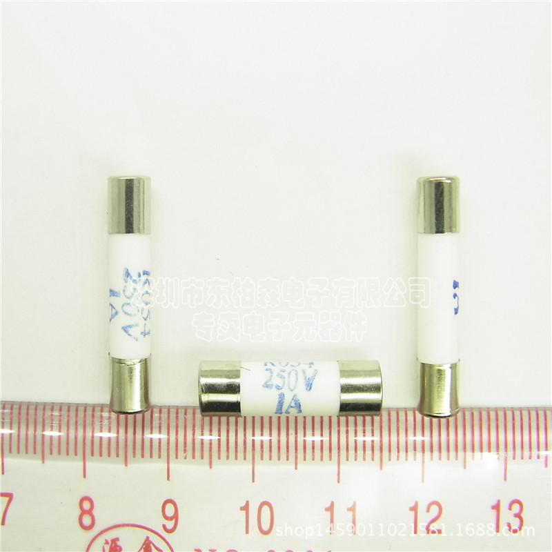 R054 250V 1A 5X20工业保险丝优质 陶瓷保险丝熔断保险管