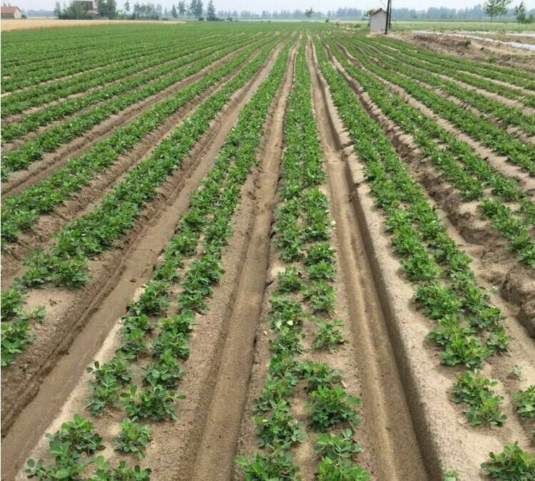 手提式定值机天津价格