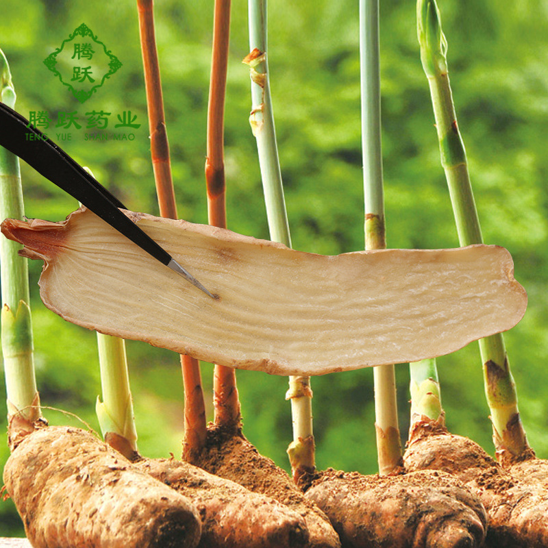 Dried Tianma Gastrodia Root Slices Traditional Chinese Herb for Decoctions and Soups 500g Bag in use