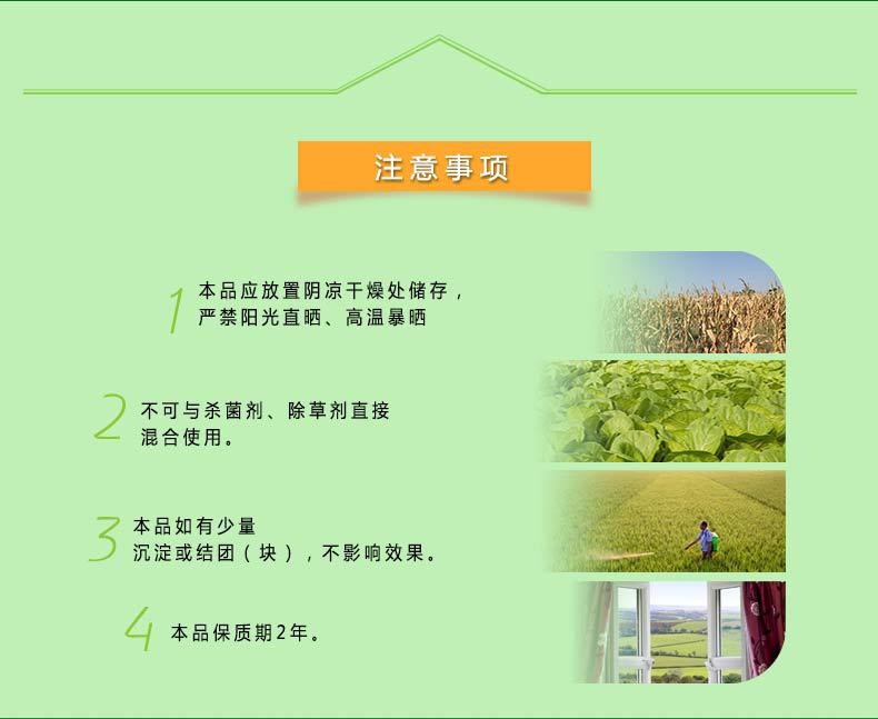 详情1_11
