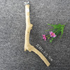 Jujube wooden stick parrot standing pole Bird cage parrot grinding tooth stick bird nest grinding claw rod standing bar sclating station bar