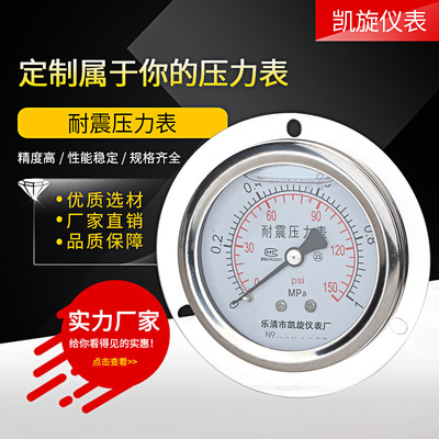 [耐震压力表YN60ZT轴向带边抗震面板式法兰边油压水压气压]
