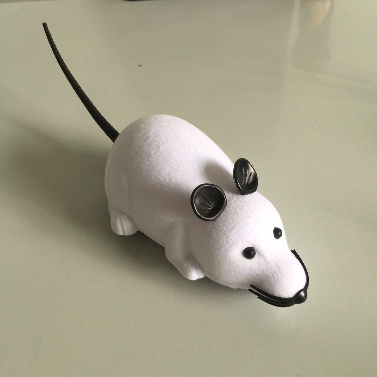 3623948153_260695147