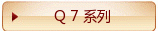Q 7 系列