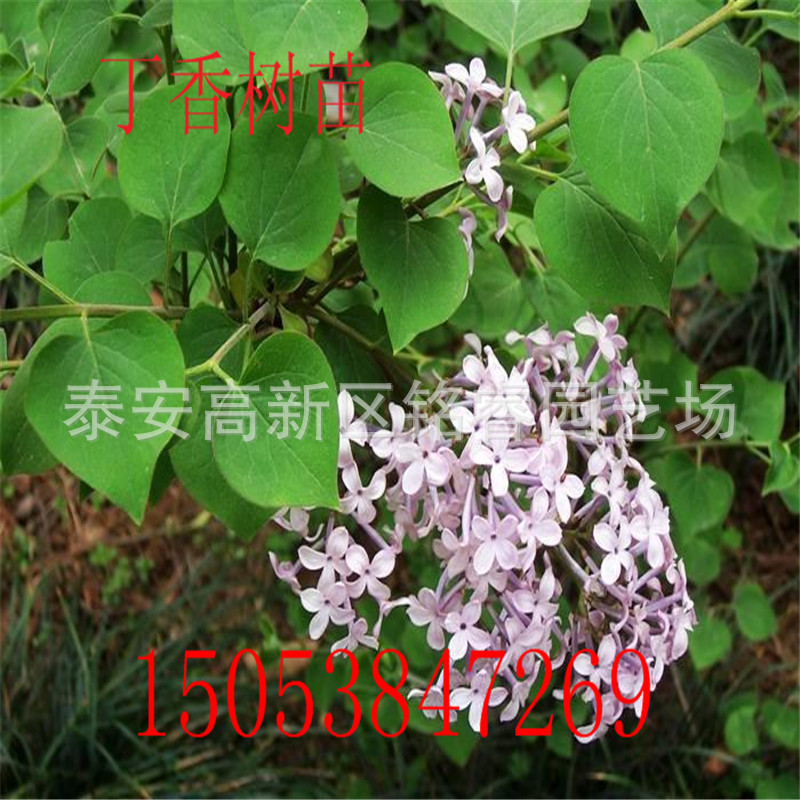 64dc0c834aa82b297e1d2c2b72b063