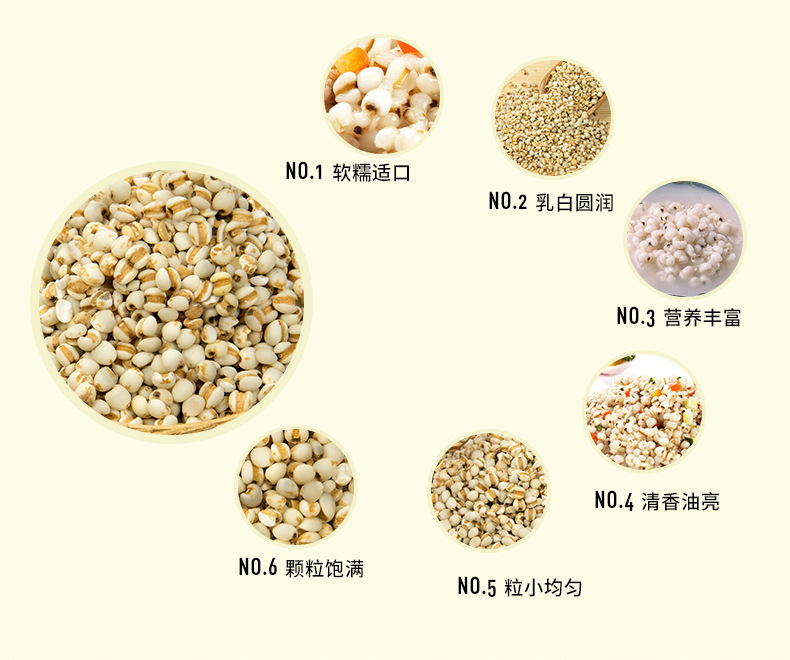 Coix Seed Yi Yi Ren Dried Job's Tears Whole Grain Herbal Ingredient for Soup Congee and Tea specifications