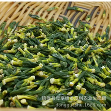 ���Ϯa ɏ��о500�˸�؛ ��ɏ ĥɏ �tɏ�� ��ɏ��ɏ���� 1����]