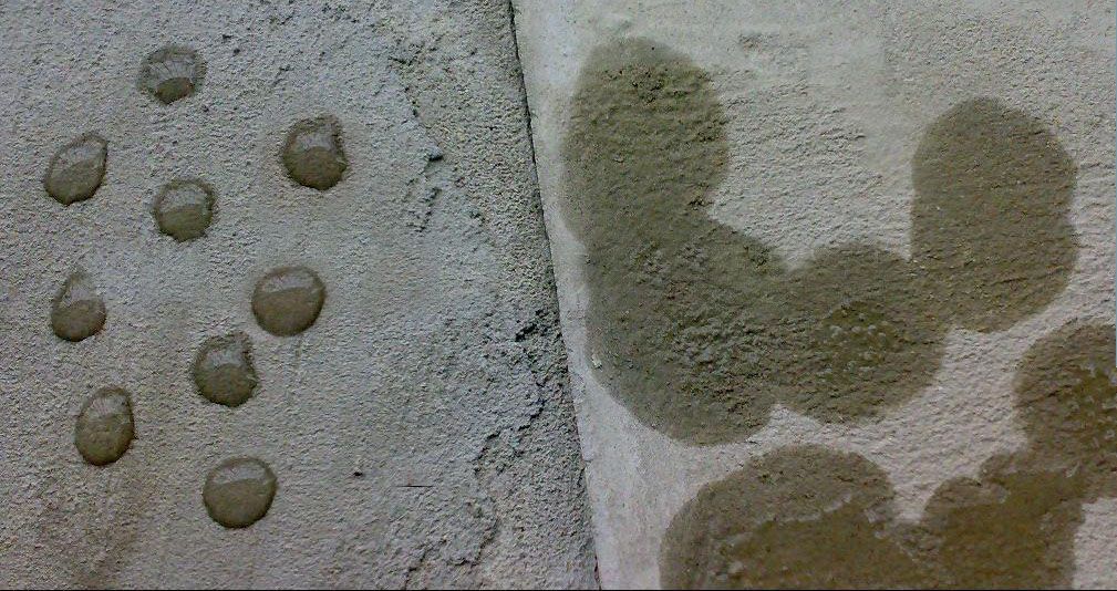 x1_1.1358473759_1009_534_21232