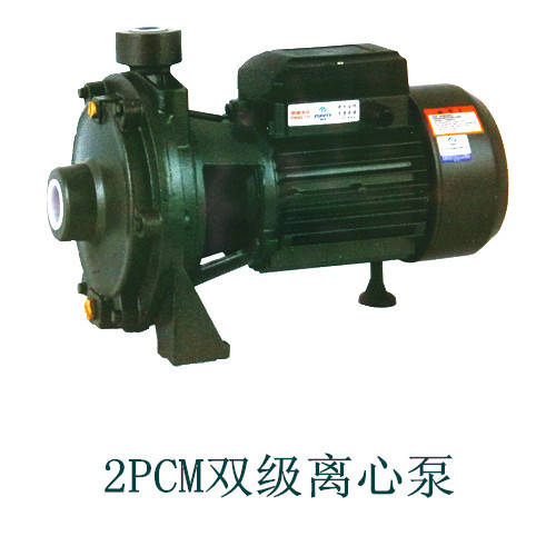 普轩特 水泵 2PCM50/22 双级离心泵