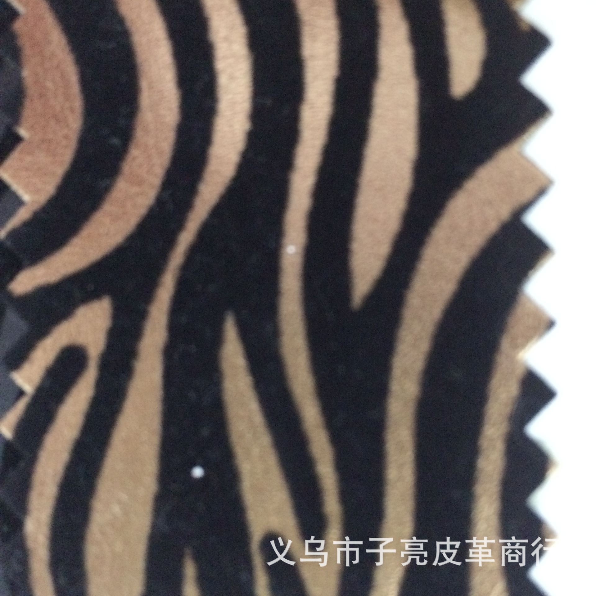 商品图片2IMG_2134