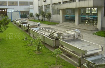 羊栖菜长寿菜清洗机,羊栖菜预煮漂烫机,羊栖菜冷却盐制机