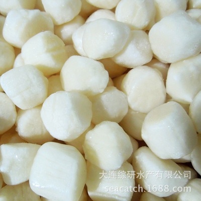 大连冷冻扇贝丁瑶柱单冻工厂直供餐饮批发|ms