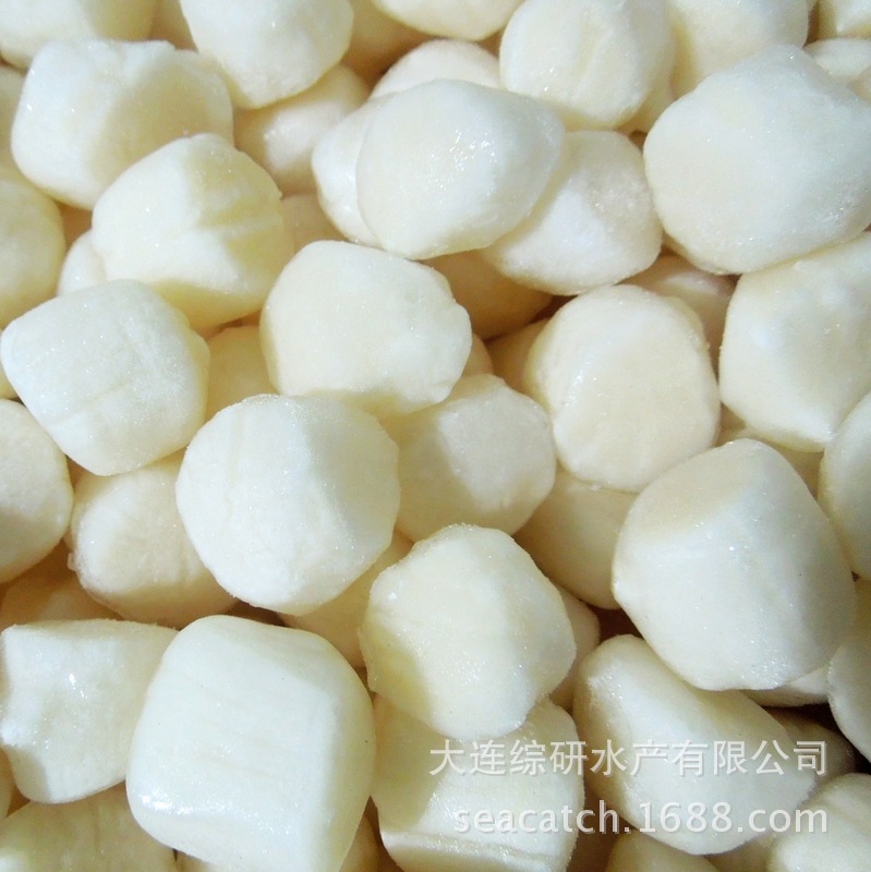 大连冷冻扇贝丁瑶柱单冻工厂直供餐饮批发|ms