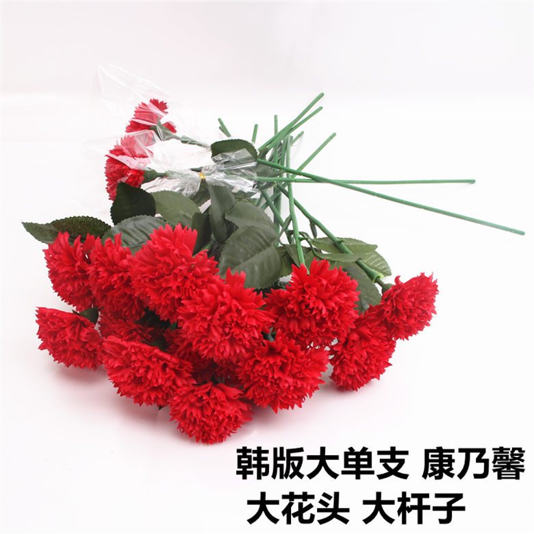 韩版大单支 康乃馨红