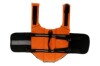 Life jacket, safe swimwear, USA, pet