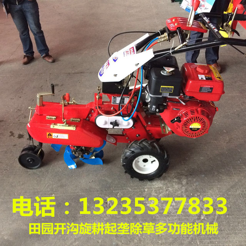 4323702579595292_副本