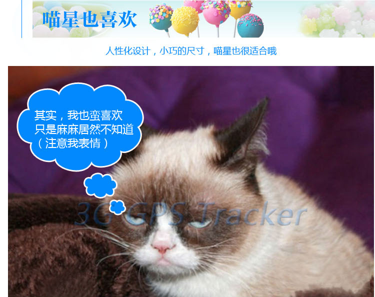 宠物定位器-V40-中文_17