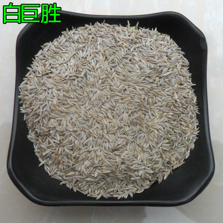 白巨胜0