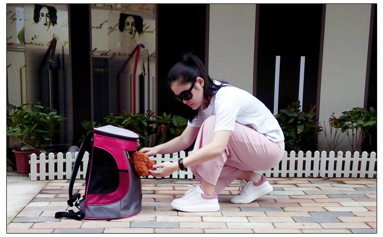 带окно Оксфорд ткань назадпакет _11