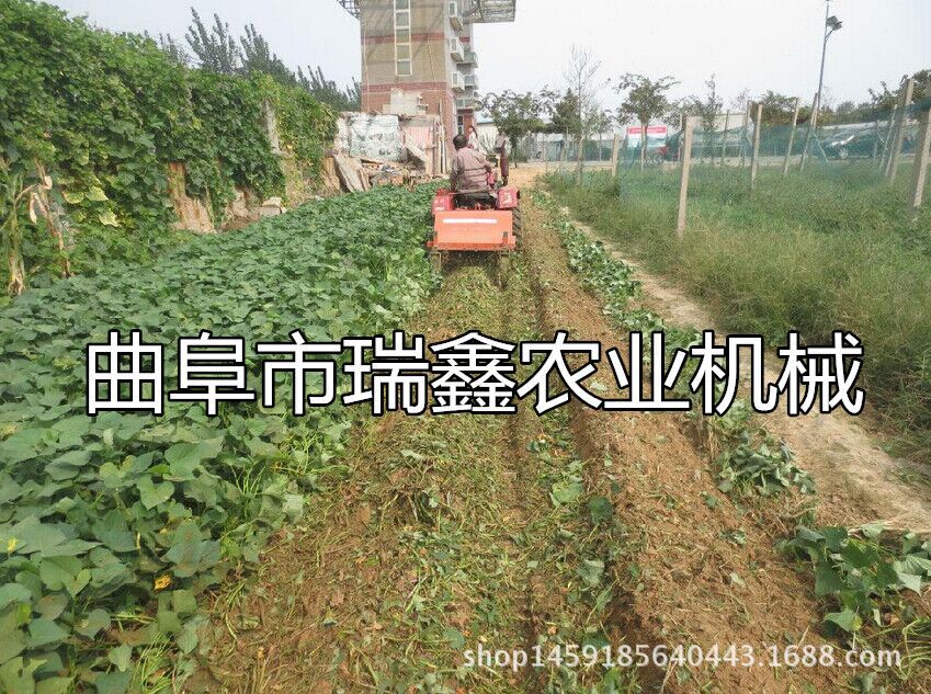 手扶车带动的收获机 收获机厂家 新款二合一型马铃薯收获机