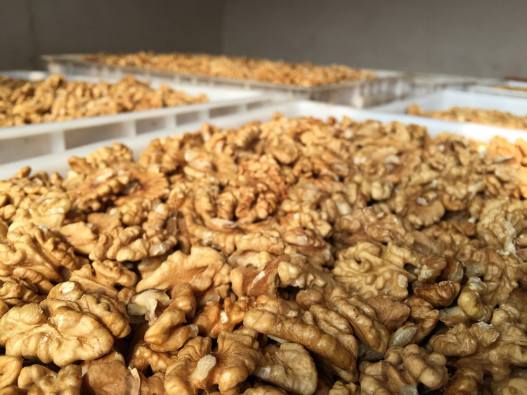 Walnut Kernels (Juglans regia) — Hand-Shelled Xinjiang Walnut Meat, 500g key features
