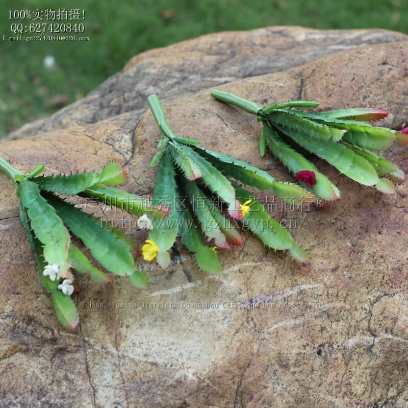 7e498a7fa0857430fc10a183822f1a