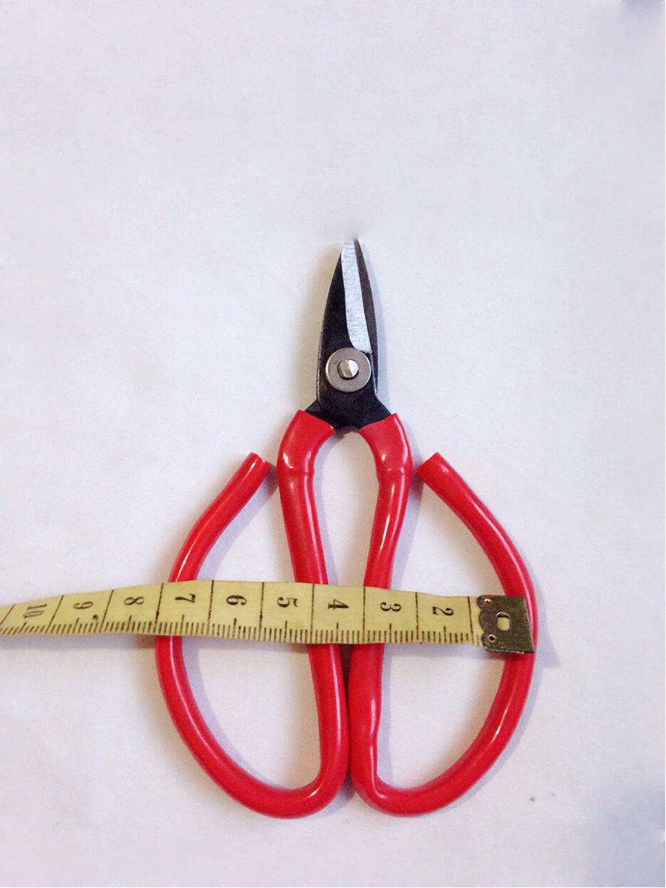 Nail scissors, high quality small case for nails, 5 cm
