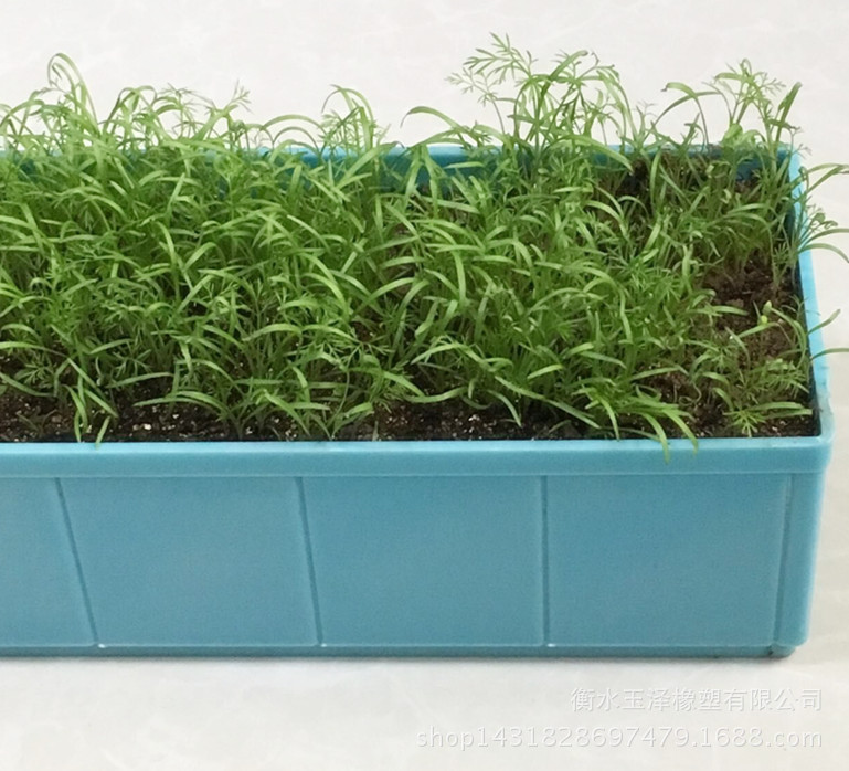 QQ圖片20160112102517_副本