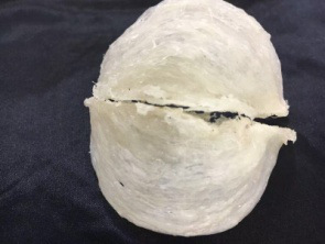 如何辨别真假燕窝，如何挑选质量上乘的燕窝572 / author:小丸子001002 / PostsID:316766