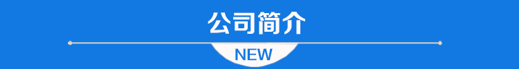 公司簡介