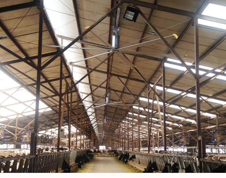 工业大风扇厂家直销：18057422015