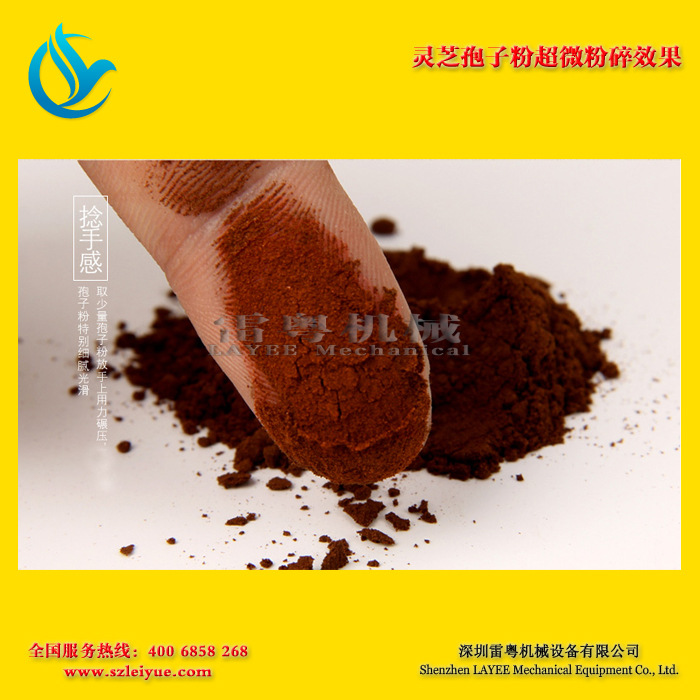 灵芝孢子粉超微粉碎效果2