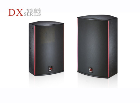 厂家直销BDX北斗星专业工程音箱DX-12 DX-15会议音箱，专业音响