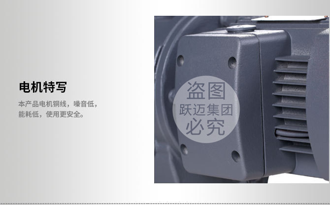 3033005853_790446038_副本