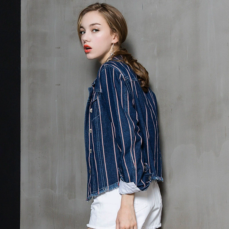 Demi-season long-sleeve, denim jacket