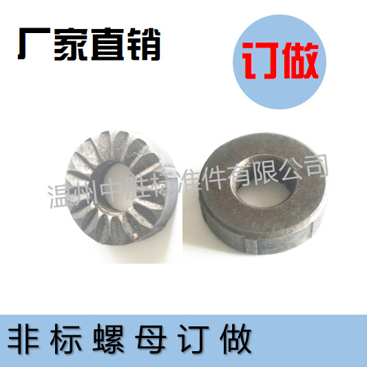厂销 非标定做 碳钢 非标螺母 量大从优 厂家定做 温州产业带