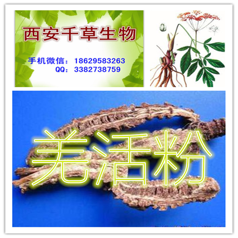 羌活粉