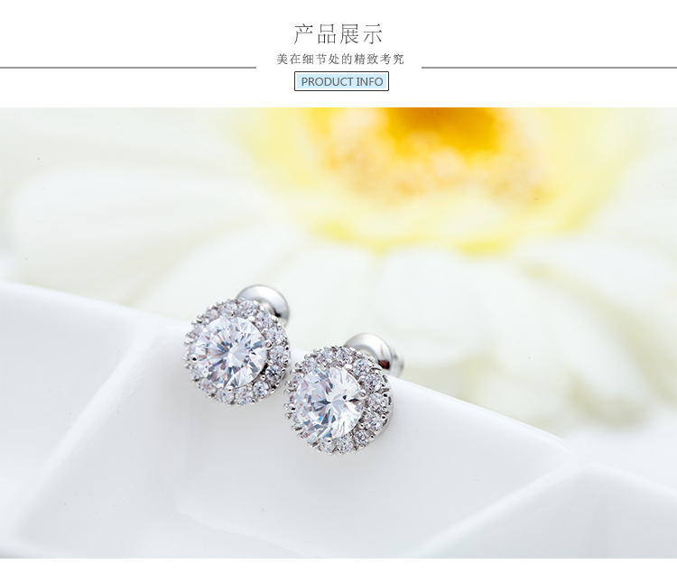 Aaa Zircon Earrings Exquisite Dazzling Stud Earrings display picture 7