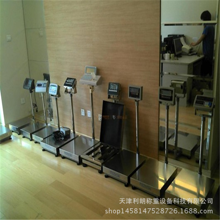 電子臺秤 (2)