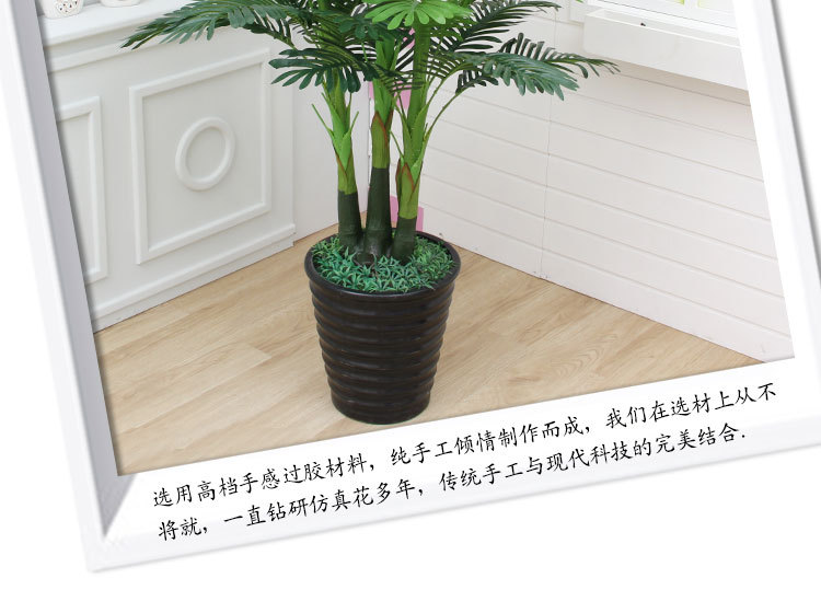 Xiaoshu Head Three -Head Sunflower Tree_18