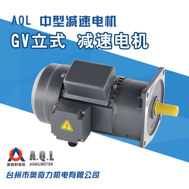 GV立式-减速电机.2