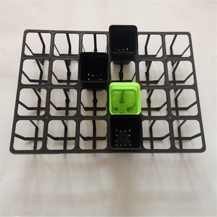 IMG20160927092956_副本