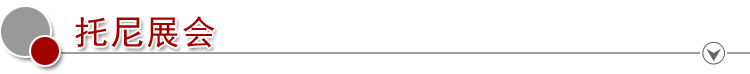 托尼展会