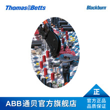 ABBͨؐ 500HPS Blackburn_˨^