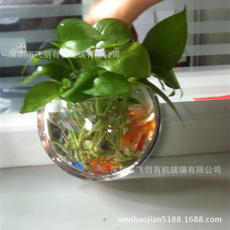 生产加工亚克力迷你鱼缸壁挂中号水族用品压克力半圆球