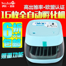 厂家直供伊科贝特孵化机 全自动鸡鸭鹅家用型16枚48枚60枚 孵化器