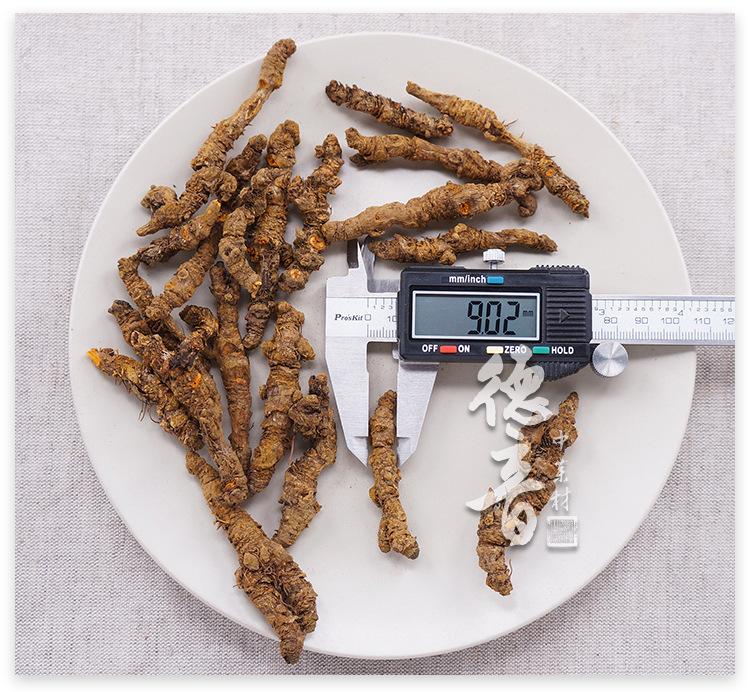 Single-Stem Coptis Huang Lian Dried Rhizome Sichuan Emei Mountain Raw Herb Bulk quality and texture