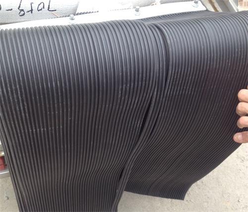 导料槽挡尘帘子 国龙防尘帘规格  厂家防尘帘250*6